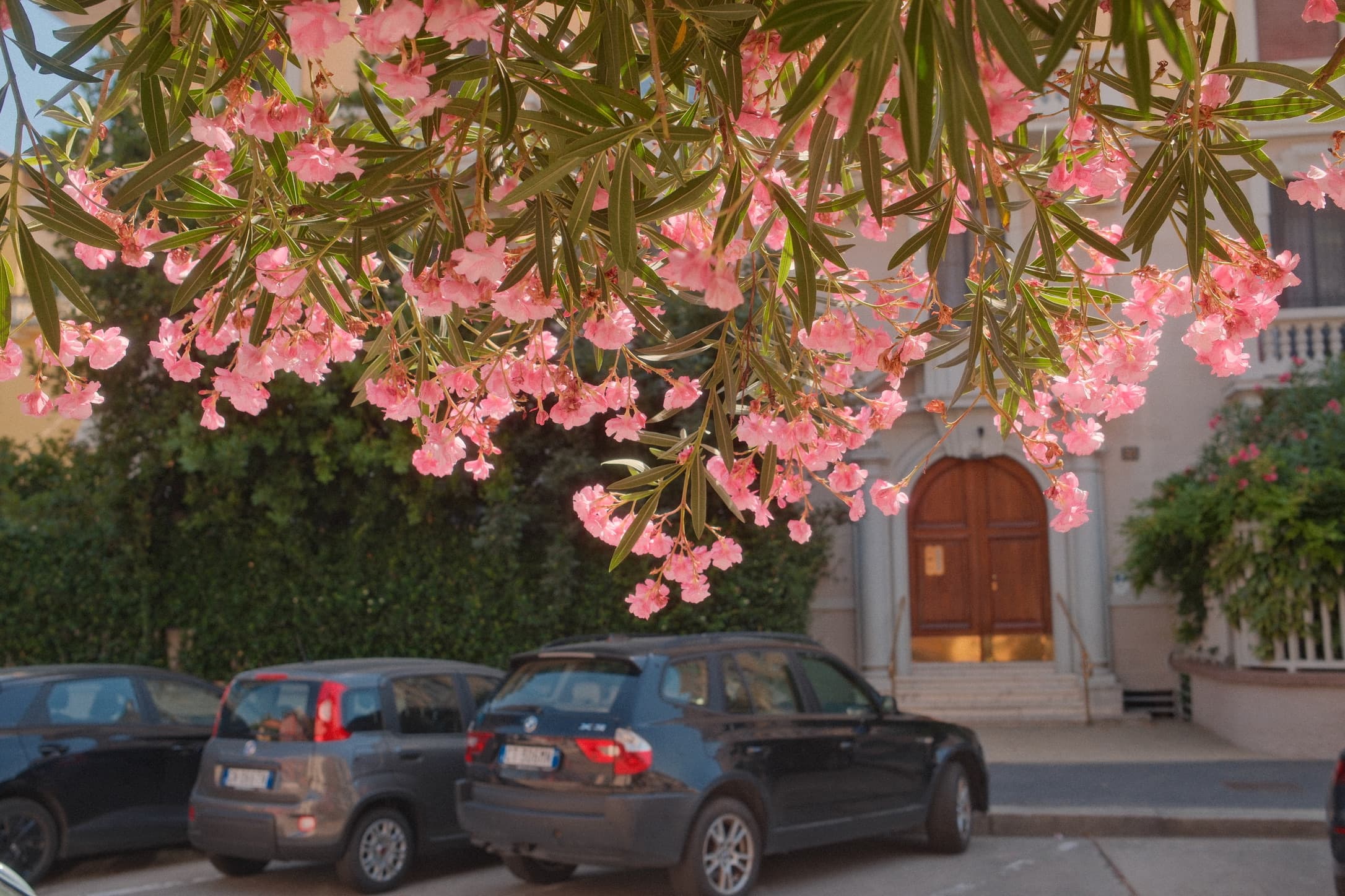 See Beyond the Obvious